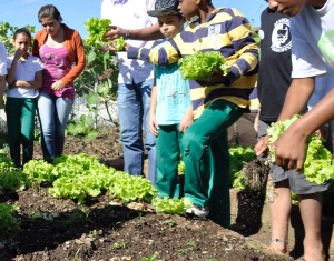 Dentre as exigências do projeto está a de implantar a horta em, no mínimo,  cinco escolas do município, algo que já ocorre em Pinhais